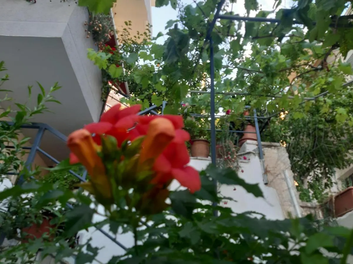 Mane Apartments Sarande
