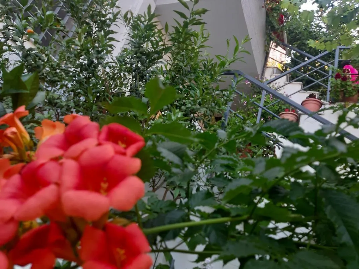 Mane Apartments Sarande